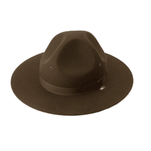 Campaign Hat – Smokey The Bear Style