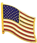 J137 American Flag Pin – Gold Plate